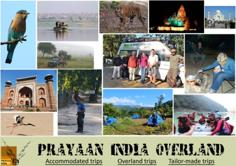 Collage for Prayaan